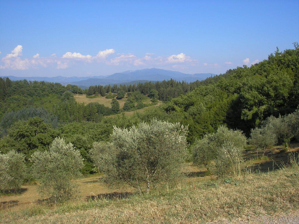 Podere Capitignano Borgo San Lorenzo Exterior foto